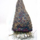 Ceramic sea urchin